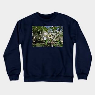 Bee on a flower Crewneck Sweatshirt